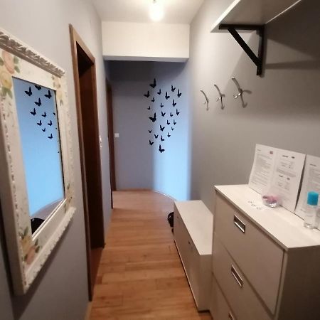 Apartman Breza Kruševac エクステリア 写真